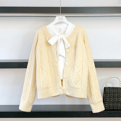 Outer Knitted Jacket Short Sweater Cardigan