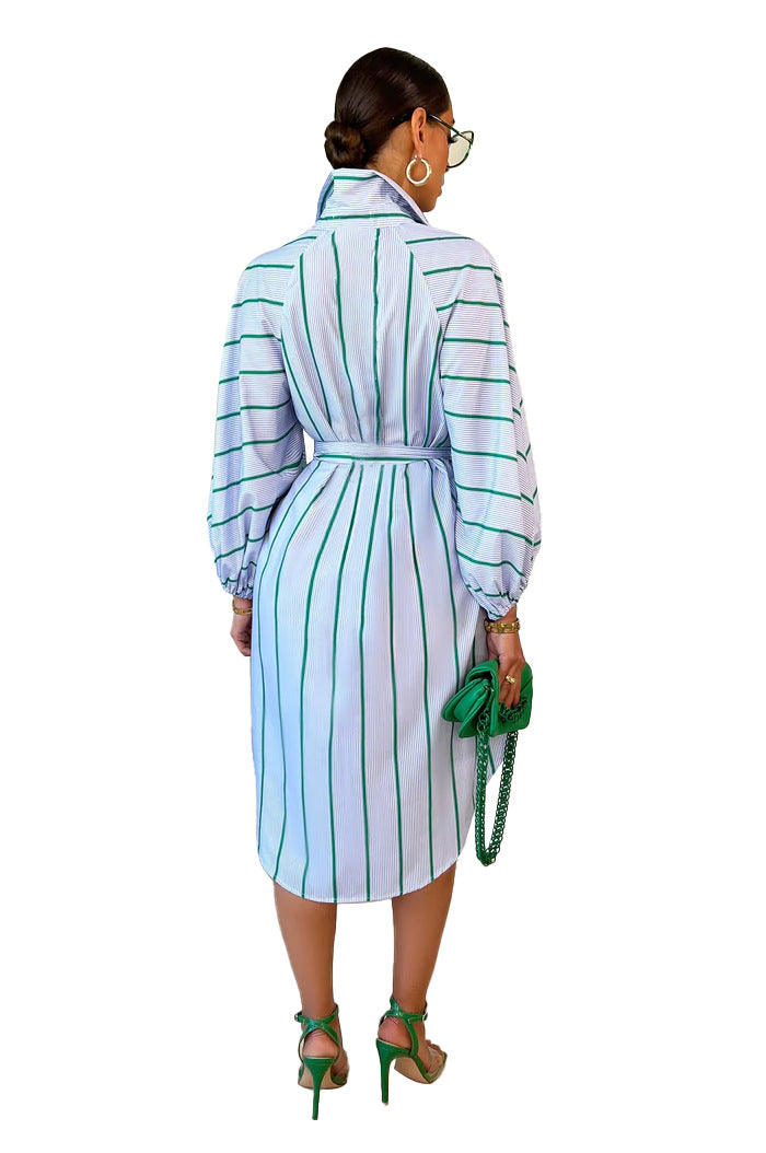 Striped Print Casual Long Sleeve Dress