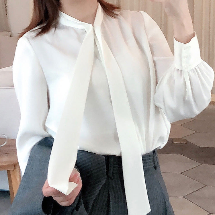 Satin Chiffon Shirt