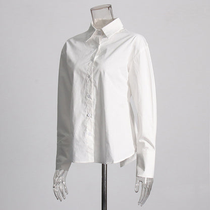 French New Temperamental Minority Design Tied Long Sleeves Shirt For Women