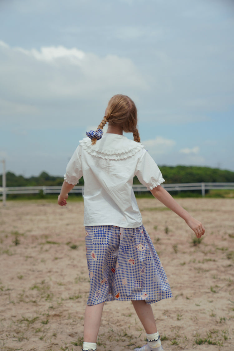 Lace collar embroidery short sleeve