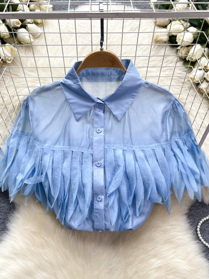 Puff Sleeve Shirt Fashionable Sheer Top