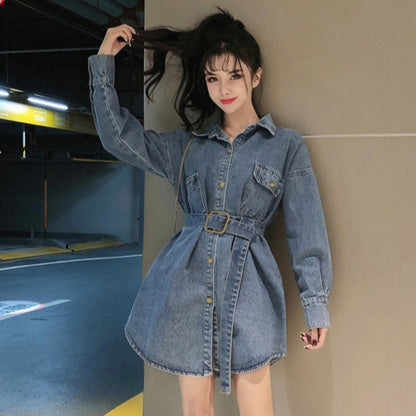 Long Sleeve Denim Dress Loose Shirt Jacket